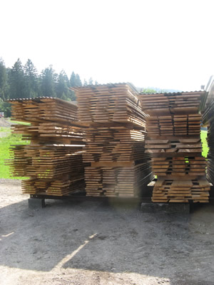 Holz im Sägewerk Bereuter